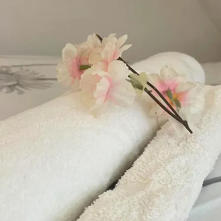 Appartamento [rêve Rose] équipé, Wifi, Vue Lourdes