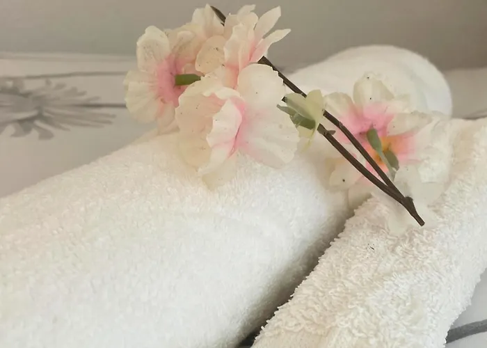 Appartamento [rêve Rose] équipé, Wifi, Vue Lourdes