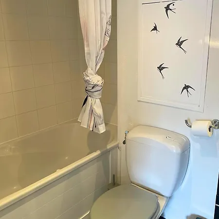 Reve Rose Equipe, Wifi, Vue