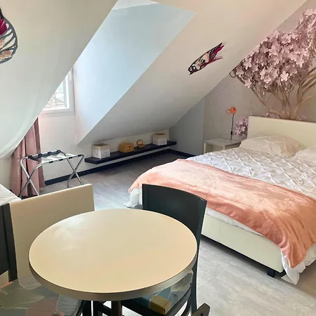 Reve Rose Equipe, Wifi, Vue Лурд