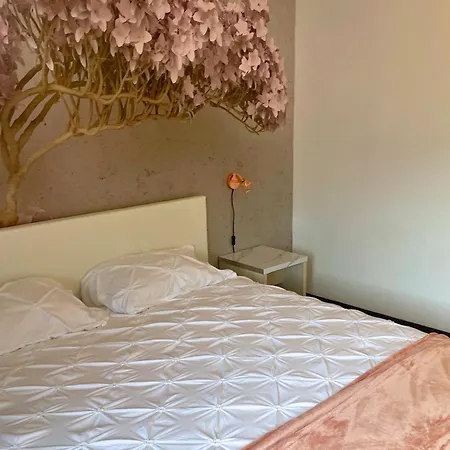 Lejlighed Reve Rose Equipe, Wifi, Vue