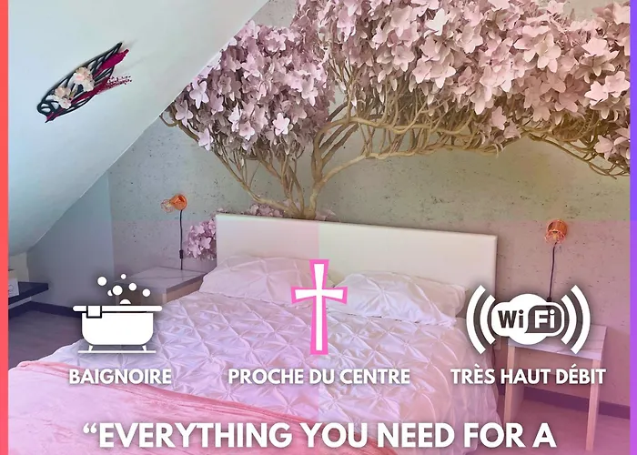 Apartment Reve Rose Equipe, Wifi, Vue Lourdes