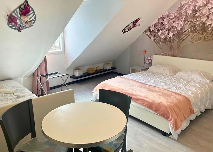 Reve Rose Equipe, Wifi, Vue Lourdes