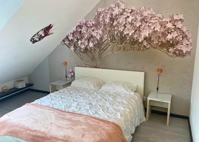 Reve Rose Equipe, Wifi, Vue Lourdes