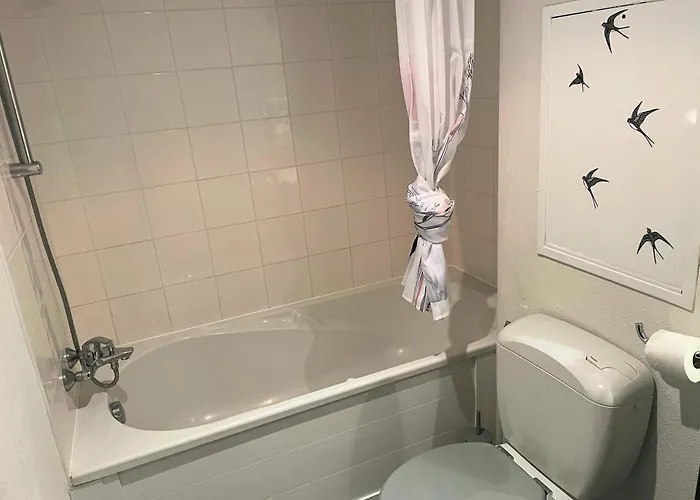 Reve Rose Equipe, Wifi, Vue Appartement Lourdes