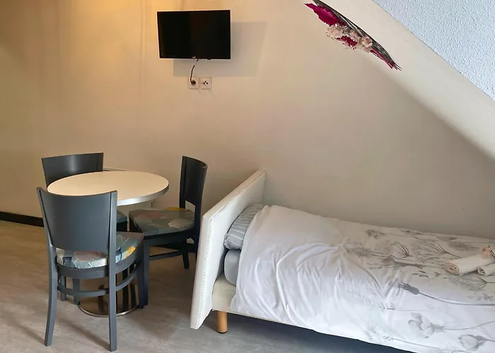 Appartement Reve Rose Equipe, Wifi, Vue Lourdes